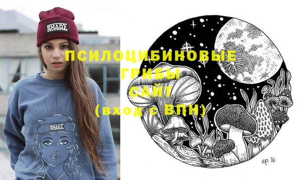 PSILOCYBIN Вязьма