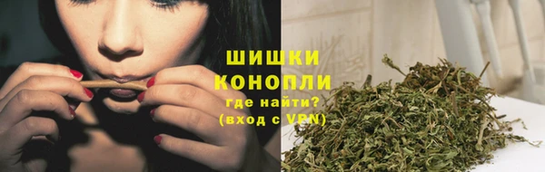 соль ск Вяземский
