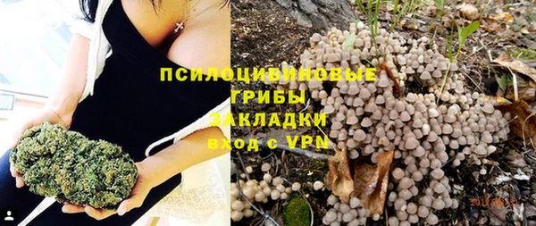 соль курить ск Верея